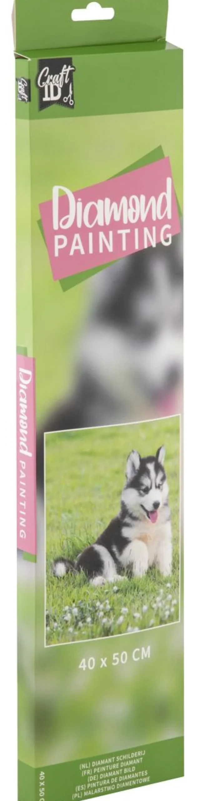 TIMANTTIMAALAUS 40X50CM KOIRA