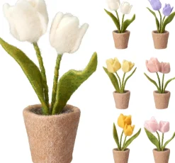 TULPPAANIT RUUKUSSA 19CM LAJITELMA
