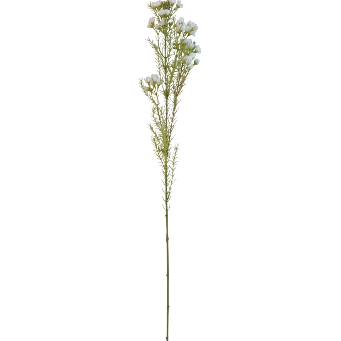VAHAMYRTTI KUKKA 77 CM TEKOKASVI