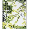 VALLILA MATTO RETRIITTI 80X160CM VIHREÄ