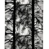 VALLILA VALMISVERHO KELOHONKA 140X250CM SAVU
