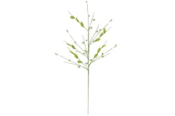 VERSO HELMIOKSA LEHDILLÄ 66 CM LAJITELMA