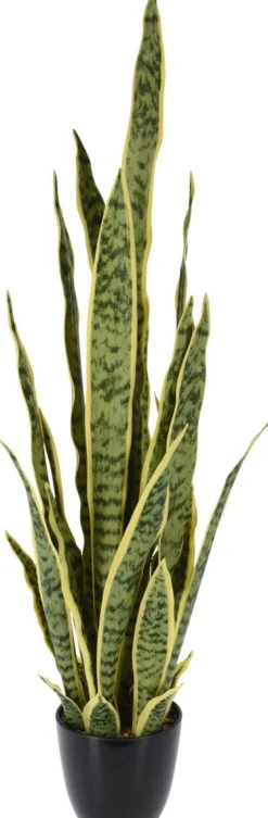 VIHERKASVI ANOPINKIELI KORK.92CM
