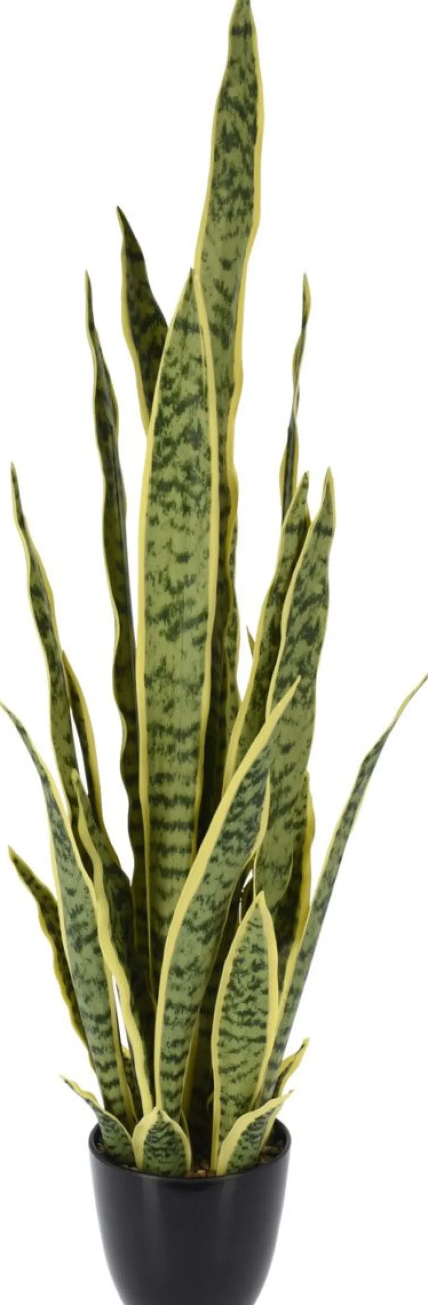 VIHERKASVI ANOPINKIELI KORK.92CM