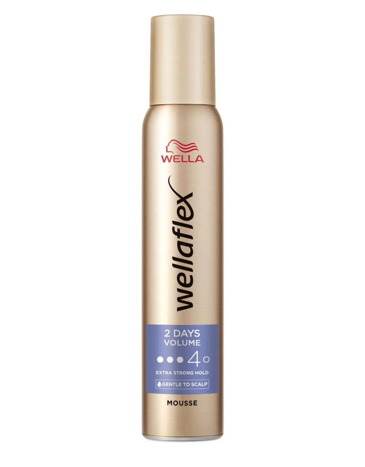 WELLAFLEX MOUSSE 2DAY VOLUME EXTRA STRONG 200 ML