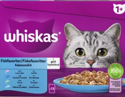 WHISKAS 1+ KALASUOSIKIT HYYTELÖSSÄ 12*85G 1,02 KG