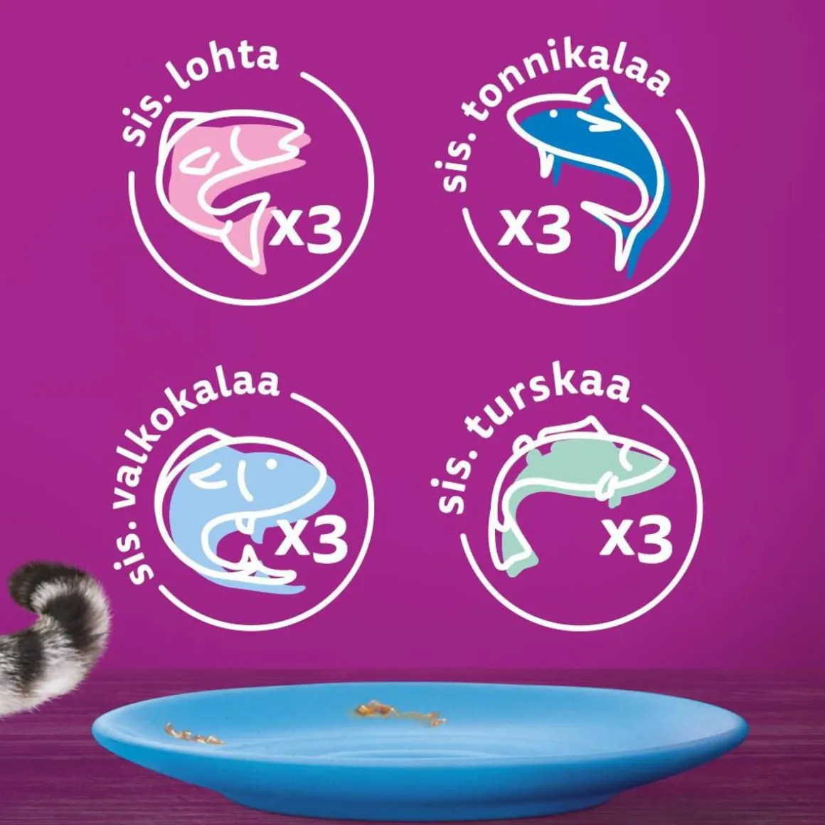 WHISKAS 1+ KALASUOSIKIT HYYTELÖSSÄ 12*85G 1,02 KG