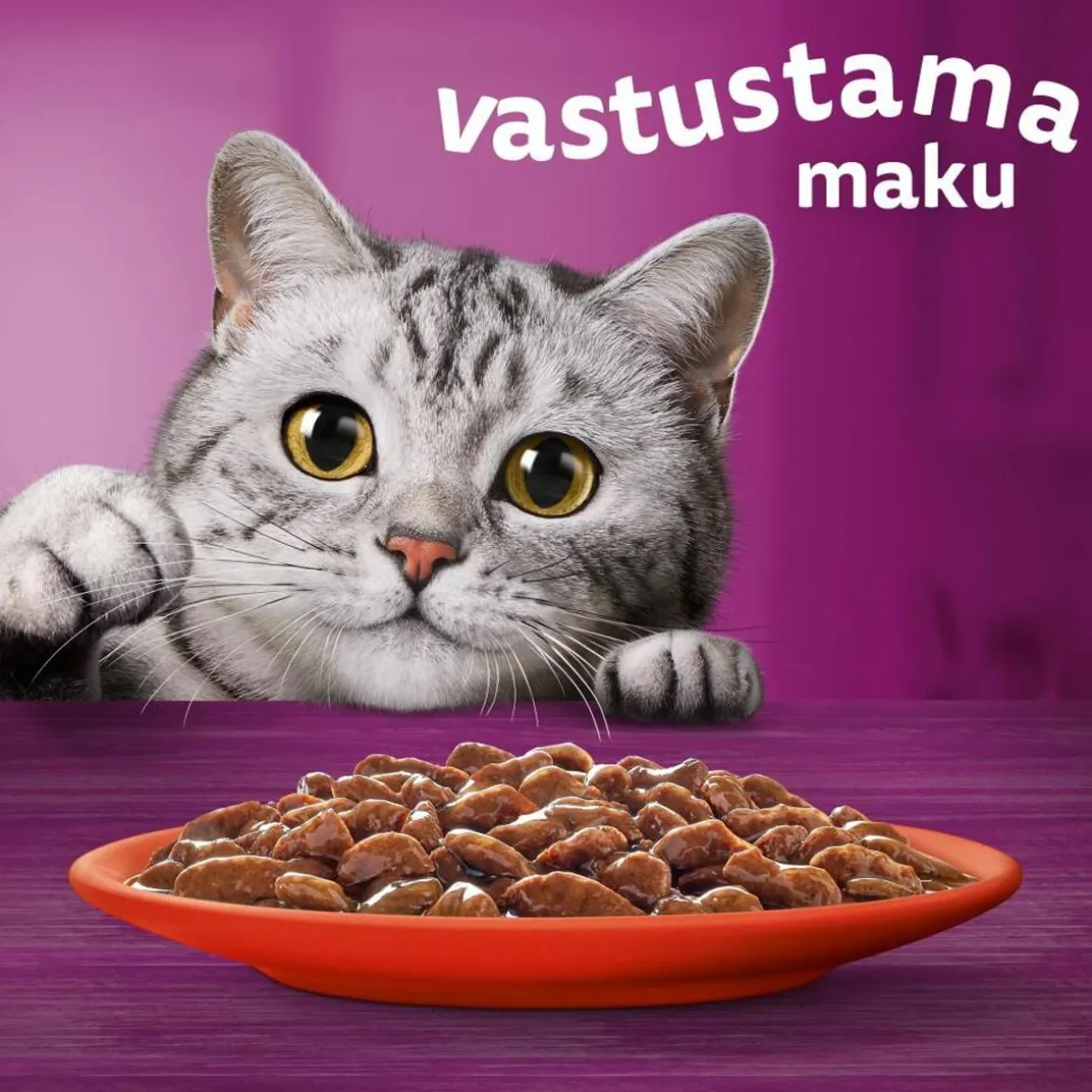 WHISKAS 7+ PERINTEISET ATERIAT KASTIKKEESSA 12*85G 1,02 KG