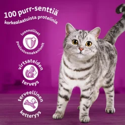 WHISKAS 7+ PERINTEISET ATERIAT KASTIKKEESSA 12*85G 1,02 KG