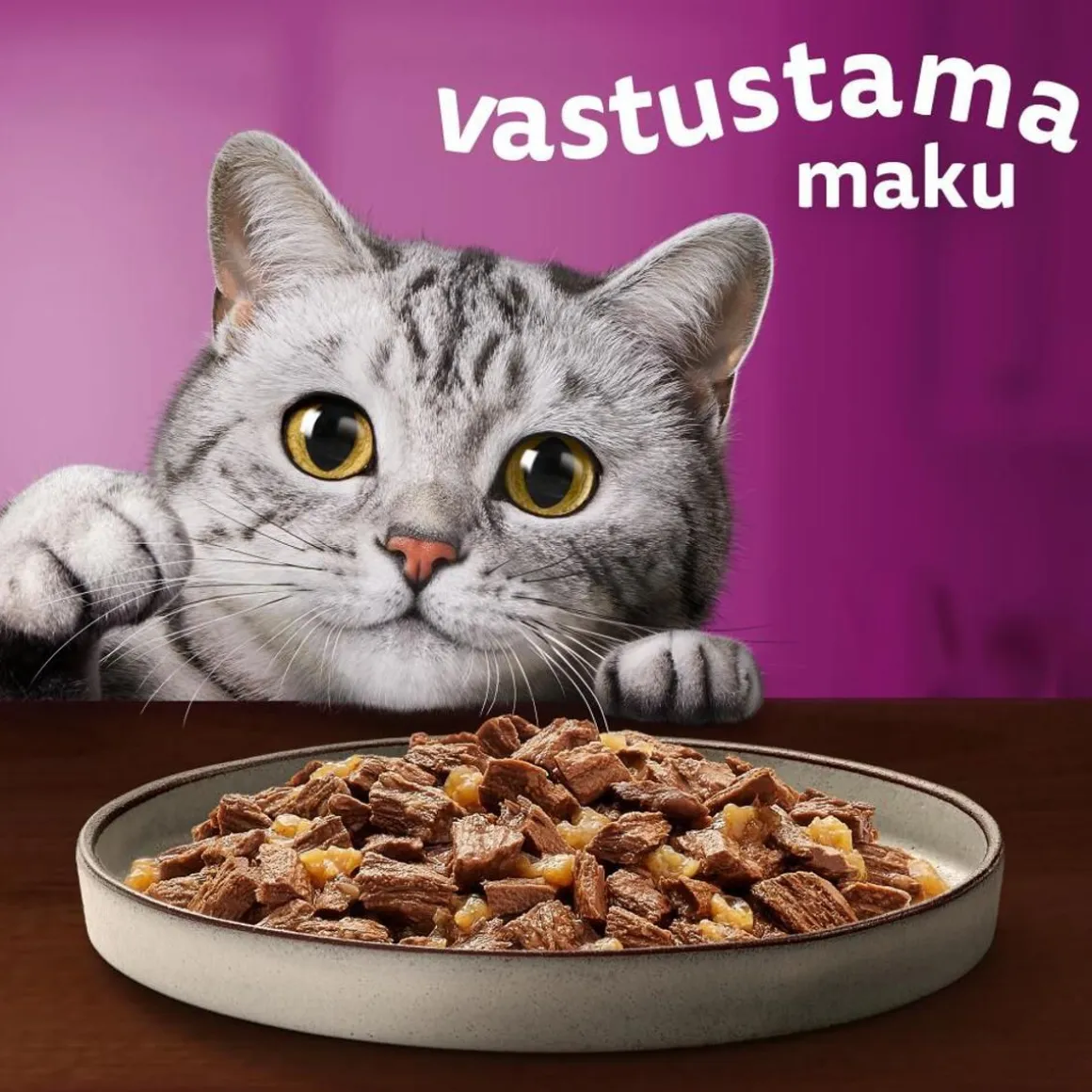 WHISKAS 1+ PURE DELIGHT PERINTEISET ATERIAT HYYTELÖSSÄ 12*8