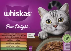 WHISKAS 1+ PURE DELIGHT PERINTEISET ATERIAT HYYTELÖSSÄ 12*8