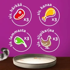 WHISKAS 1+ PURE DELIGHT PERINTEISET ATERIAT HYYTELÖSSÄ 12*8