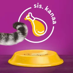 WHISKAS 7+ SENIOR KANAA 800 G