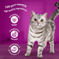 WHISKAS 11+ SIIPIKARJAHERKUT HYYTELÖSSÄ 12*85G 1,02 KG