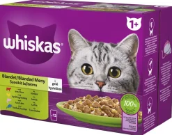 WHISKAS 1+ SUOSIKIT LAJITELMA HYYTELÖSSÄ 12*85G 1,02 KG