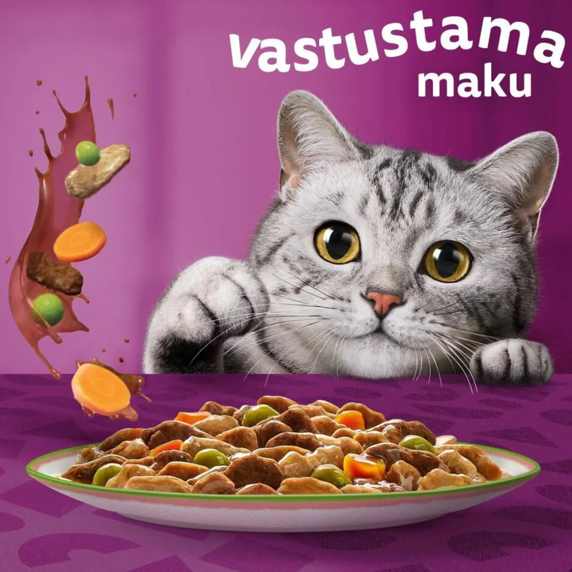 WHISKAS 1+ TASTY MIX KOKIN VALINTA KASTIKKEESSA 12*85G 1,02 KG
