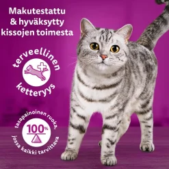 WHISKAS 1+ TASTY MIX KOKIN VALINTA KASTIKKEESSA 12*85G 1,02 KG