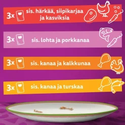 WHISKAS 1+ TASTY MIX KOKIN VALINTA KASTIKKEESSA 12*85G 1,02 KG