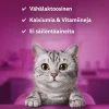 WHISKAS CATMILK KISSANMAITO 3*200G 600 ML