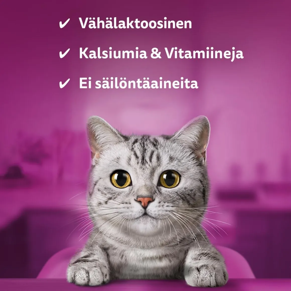 WHISKAS CATMILK KISSANMAITO 3*200G 600 ML