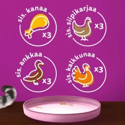 WHISKAS JUNIOR PURE DELIGHT SIIPIKARJAHERKUT HYYTELÖSSÄ 12*85G