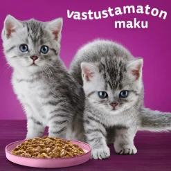 WHISKAS JUNIOR PURE DELIGHT SIIPIKARJAHERKUT HYYTELÖSSÄ 12*85G