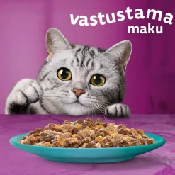 WHISKAS 1+ DUO MEREN HERKUT HYYTELÖSSÄ 12*85G 1,02 KG
