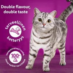 WHISKAS 1+ DUO MEREN HERKUT HYYTELÖSSÄ 12*85G 1,02 KG