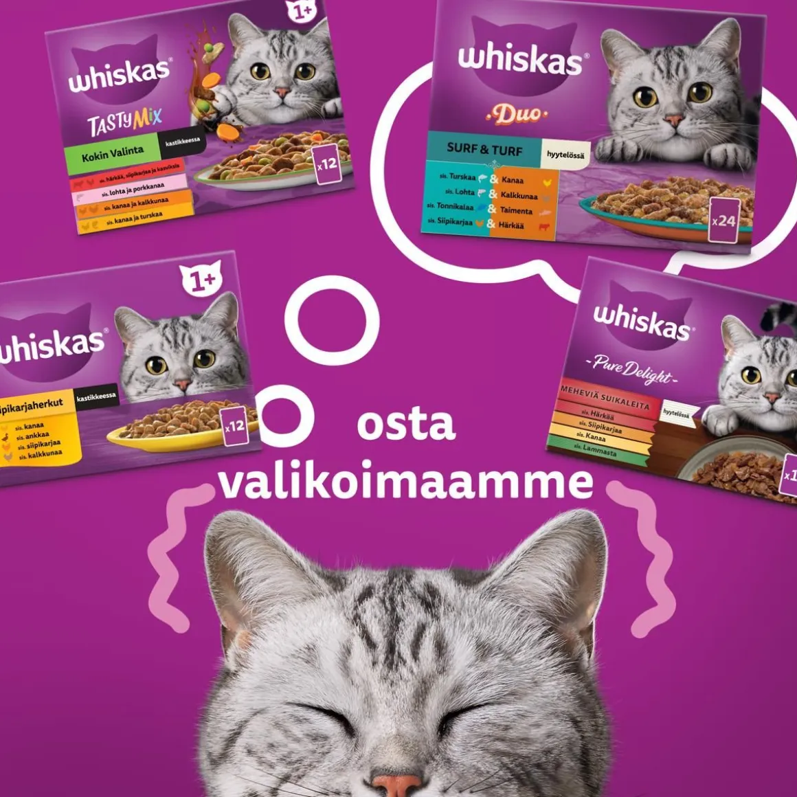 WHISKAS 1+ DUO SURF & TURF HYYTELÖSSÄ 12*85G 1,02 KG