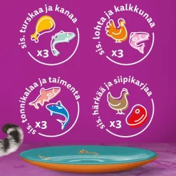 WHISKAS 1+ DUO SURF & TURF HYYTELÖSSÄ 12*85G 1,02 KG