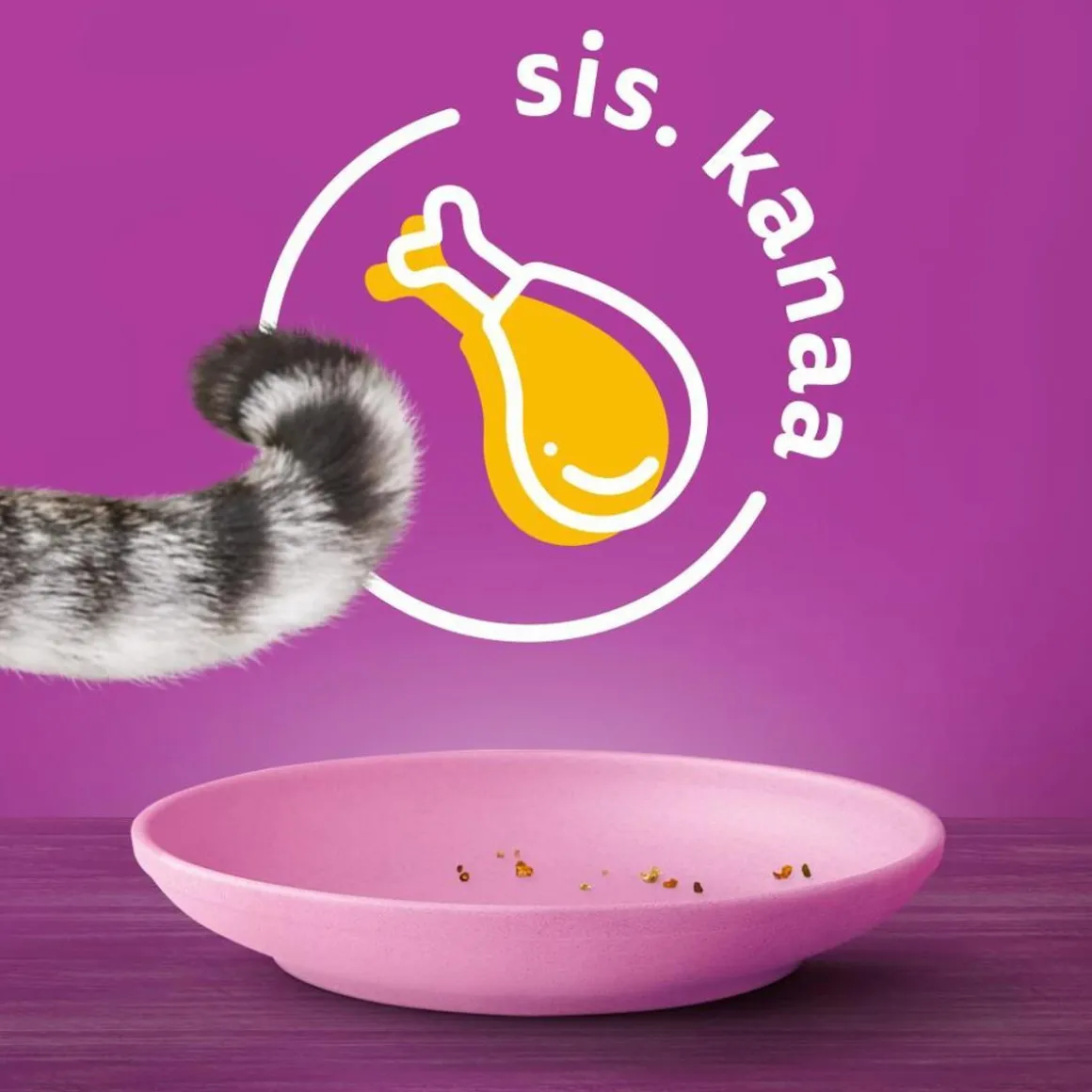WHISKAS JUNIOR KANAA 800 G