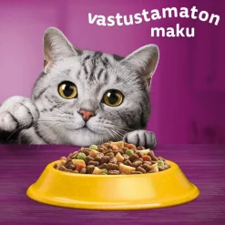 WHISKAS 1+ KANAA 3,8 KG