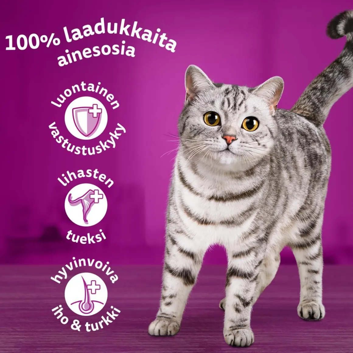 WHISKAS 1+ SIIPIKARJAHERKUT KASTIKKEESSA 12*85G 1,02 KG