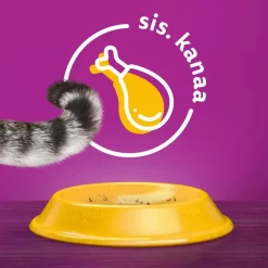 WHISKAS 1+ STERILE KANAA 800 G