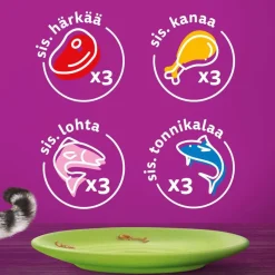 WHISKAS 7+ SUOSIKIT LAJITELMA KASTIKKEESSA 12*85G 1,02 KG
