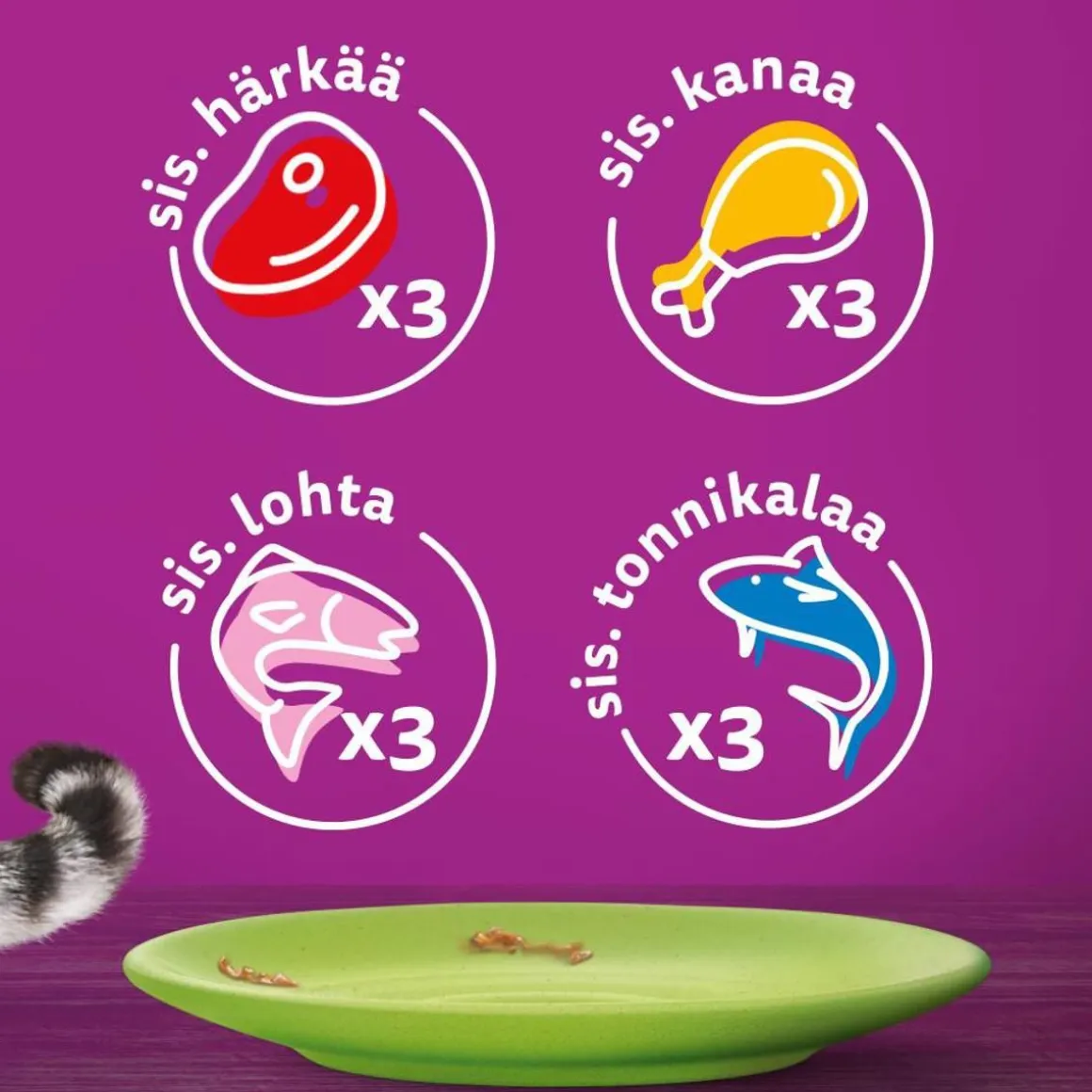 WHISKAS 7+ SUOSIKIT LAJITELMA KASTIKKEESSA 12*85G 1,02 KG
