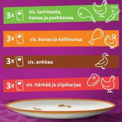 WHISKAS 1+ TASTY MIX MAALAISSEKOITUS KASTIKKEESSA 12*85G