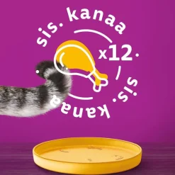 WHISKAS TÖLKKI KANAA KASTIKKEESSA 400 G