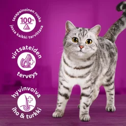 WHISKAS TÖLKKI TONNIKALAA HYYTELÖSSÄ 400 G
